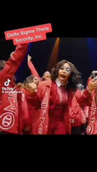 In case they forgot! Drop a 👏🏾if you know you’ve been IT! #dst1913 
📸: @_southerndivas 
.
.
#1913 #dst1913 #DearDelta #deltabox